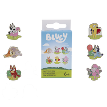 Load image into Gallery viewer, Bluey and Friends Mystery Box Pin