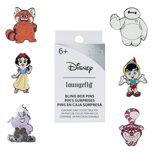 Disney 100 Anniversary Character Mystery Box Pin