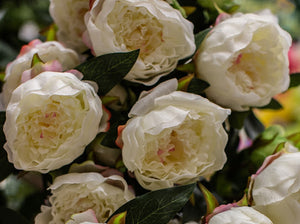 Deluxe Peony Bush