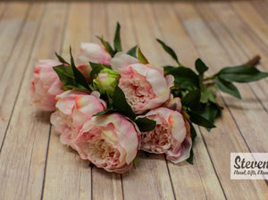 Deluxe Peony Bush