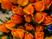 Load image into Gallery viewer, Orange Closed Bud Rose Bush

