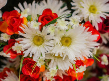 Load image into Gallery viewer, Daisy and Orange Rose Bush
