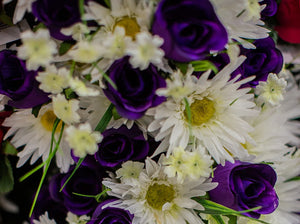 Daisy and Purple Rose Bush