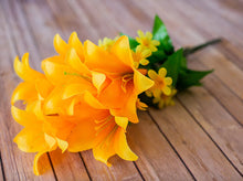 Load image into Gallery viewer, Yellow Trumpet Lily Bush
