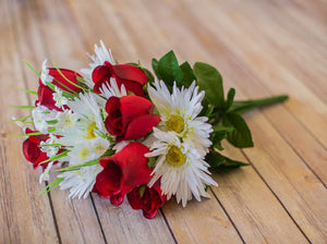 Daisy and Red Rose Bush
