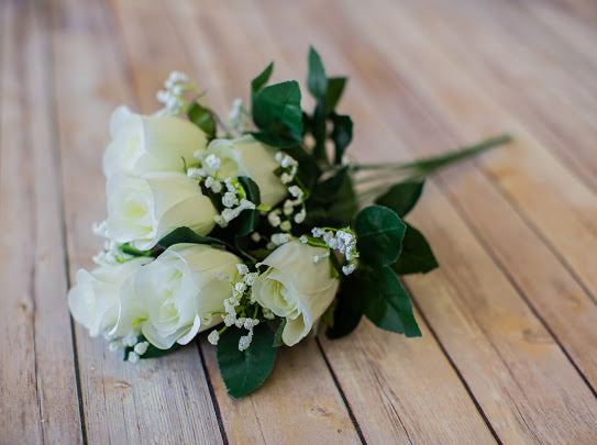 Cream Rose Bud Bush
