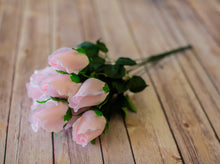 Load image into Gallery viewer, Blush Closed Bud Rose Bush
