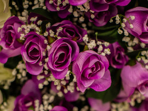 Lavender Rose Bud Bush