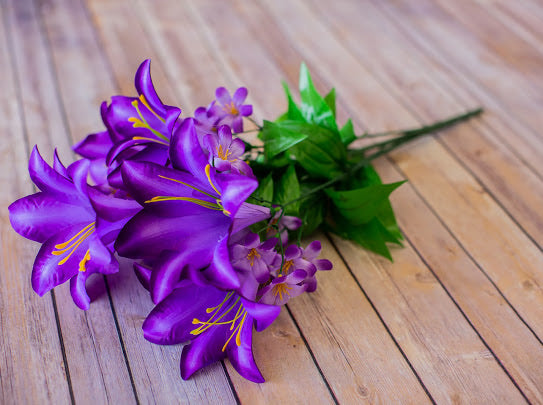 Purple Trumpet Lily Bush – Stevens Floral Gifts & Framing