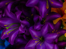 Load image into Gallery viewer, Purple Trumpet Lily Bush
