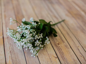 Baby’s Breath