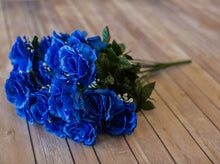 Load image into Gallery viewer, Blue Giant Open Rose Bush
