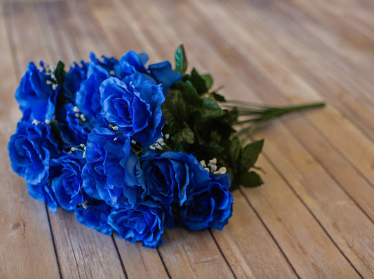 Blue Giant Open Rose Bush