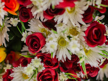 Load image into Gallery viewer, Daisy and Red Rose Bush
