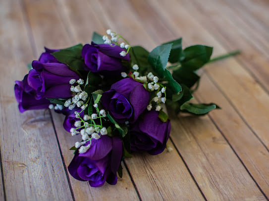 Purple Rose Bud Bush