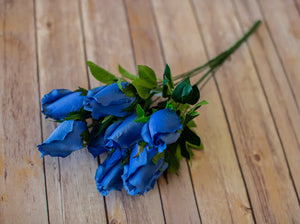 Blue Closed Bud Rose Bush