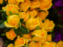 Load image into Gallery viewer, Yellow Closed Bud Rose Bush
