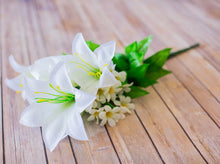 Load image into Gallery viewer, Cream Trumpet Lily Bush

