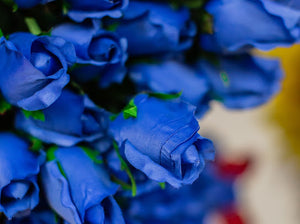Blue Closed Bud Rose Bush