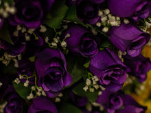 Load image into Gallery viewer, Purple Rose Bud Bush
