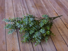 Load image into Gallery viewer, Eucalyptus Bush
